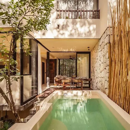 Afra 5 Jungle House With Pool Apartment